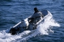 Подвесной лодочный мотор Honda BF30 DK2 SHGU 3